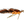 MFC Jig Squirdle Bug Craw over Rust/Orange / #08 Trout Flies
