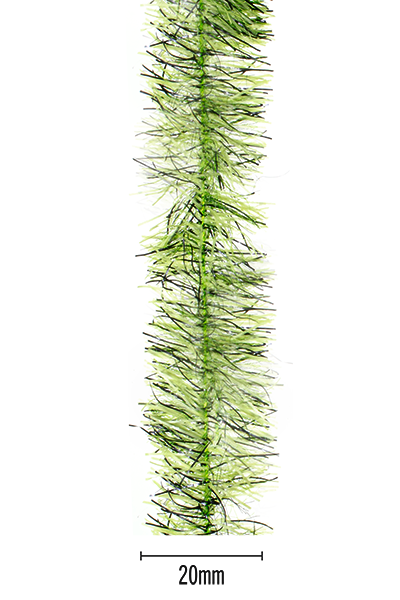 MFC Senyo's Peppered Satin Chenille Chartreuse / 20mm Chenille