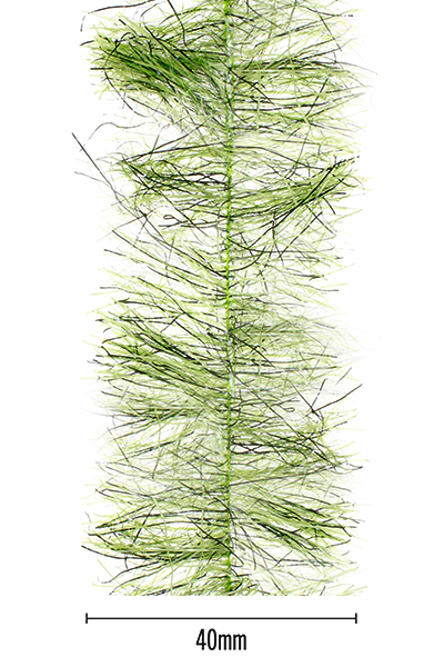 MFC Senyo's Peppered Satin Chenille Chartreuse / 40mm Chenille