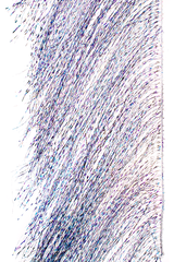 MFC Senyo's Predator Wrap Pearl Barred Blue Baitfish Flash, Wing Materials