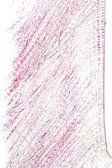 MFC Senyo's Predator Wrap Pearl Barred Pink Flash, Wing Materials