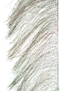MFC Senyo's Predator Wrap UV Barred Army Camo Flash, Wing Materials