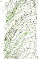 MFC Senyo's Predator Wrap UV Barred Black/Chartreuse Flash, Wing Materials