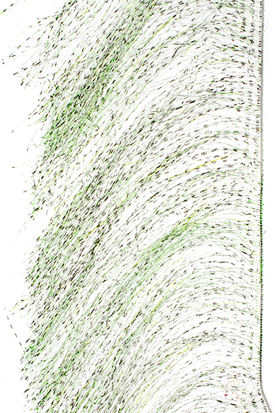 MFC Senyo's Predator Wrap UV Barred Black/Chartreuse Flash, Wing Materials