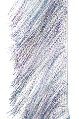 MFC Senyo's Predator Wrap UV Barred Blue Baitfish Flash, Wing Materials