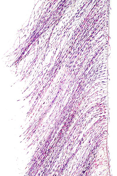 MFC Senyo's Predator Wrap UV Barred Grape Flash, Wing Materials