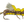 MFC Taylor's Fat Albert Yellow / 8 Trout Flies