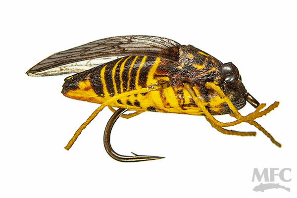 cicada fly fishing lure MFC True Cicada