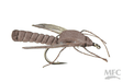 MFC True Crane Fly #10 Flies