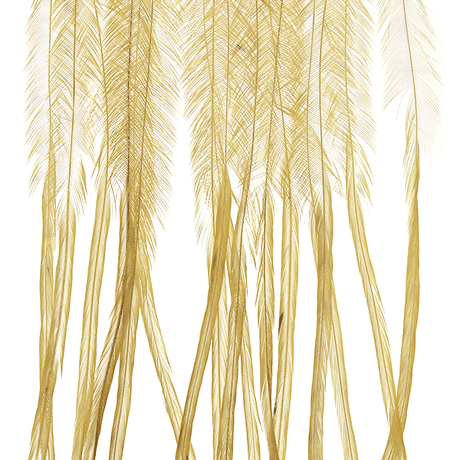 MFC- Whiting 100 Pack Dry Fly Saddle Hackle Dry Fly Hackle