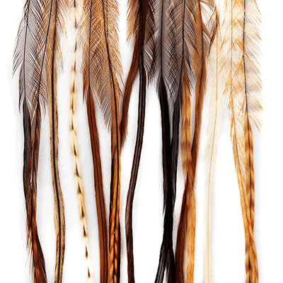 MFC- Whiting 100 Pack Dry Fly Saddle Hackle Barred Dark Ginger / 16 Dry Fly Hackle