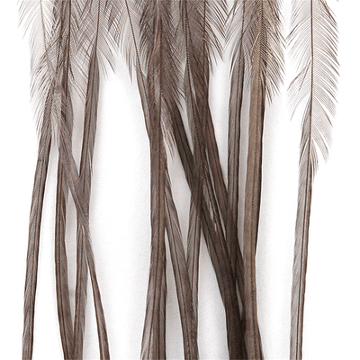 MFC- Whiting 100 Pack Dry Fly Saddle Hackle Dark Dun / 18 Dry Fly Hackle