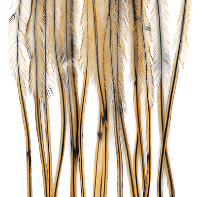 MFC- Whiting 100 Pack Dry Fly Saddle Hackle Golden Badger / 18 Dry Fly Hackle