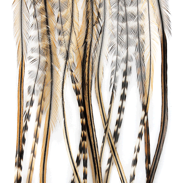 MFC- Whiting 100 Pack Dry Fly Saddle Hackle – Dakota Angler