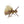 Micro Chubby Chernobyl Gold / 14 Trout Flies