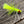 Micro Popper 10 / Chartreuse Flies