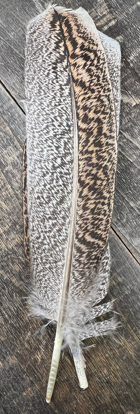 Mottled Oak Turkey Secondary Pair Saddle Hackle, Hen Hackle, Asst. Feathers
