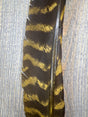 Nature's Spirit Wild Barred Turkey Biot Quills Gold Quills & Biots