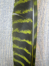 Nature's Spirit Wild Barred Turkey Biot Quills Olive Quills & Biots