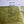 Nature's Sprit Euro Dub Dubbing Olive Dubbing