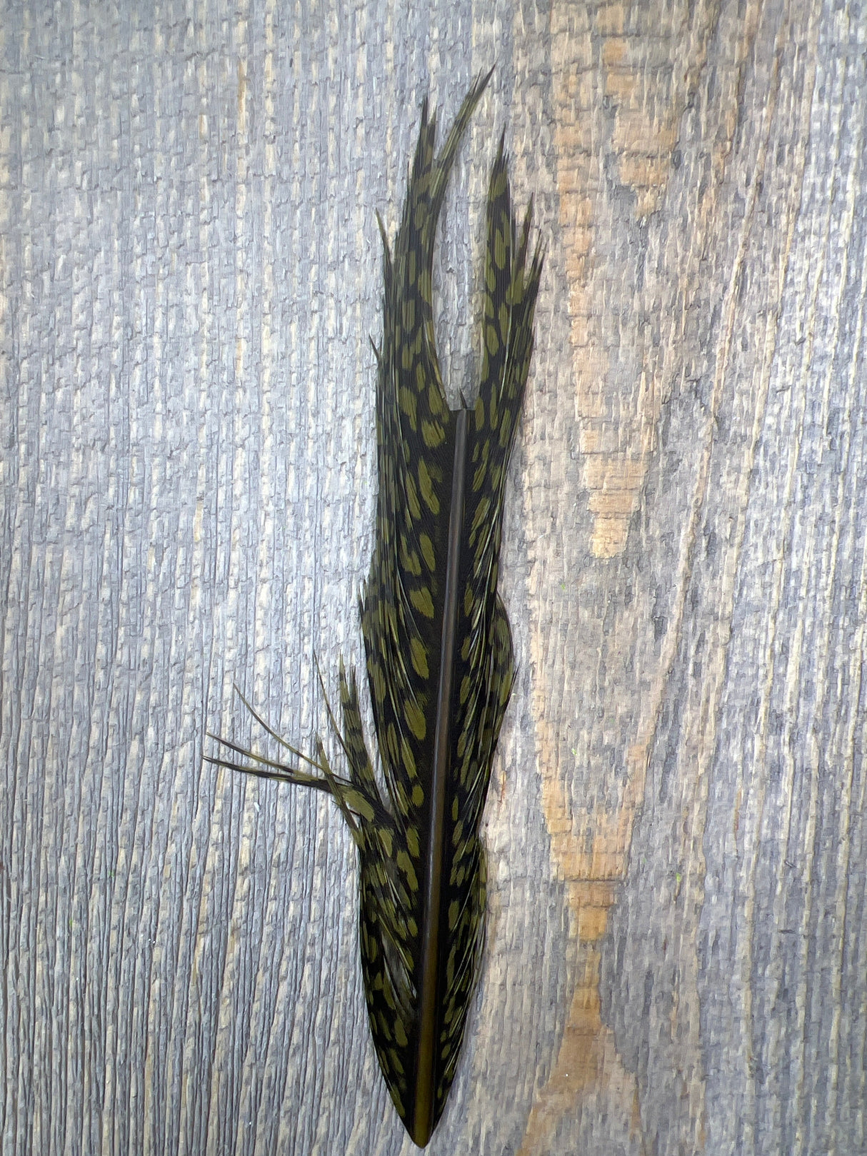 Nature's Sprit Golden Pheasant Center Tail Piece Pheasant Feathers