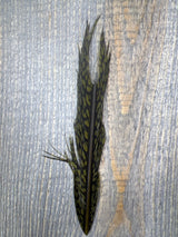 Nature's Sprit Golden Pheasant Center Tail Piece Pheasant Feathers