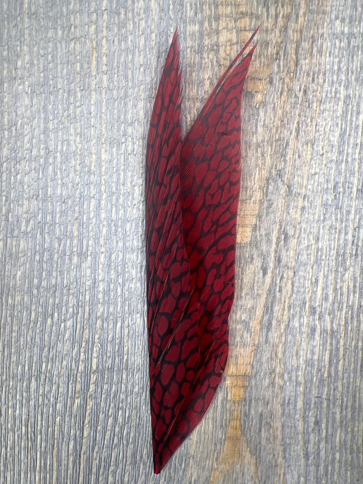 Nature's Sprit Golden Pheasant Center Tail Piece Claret Pheasant Feathers