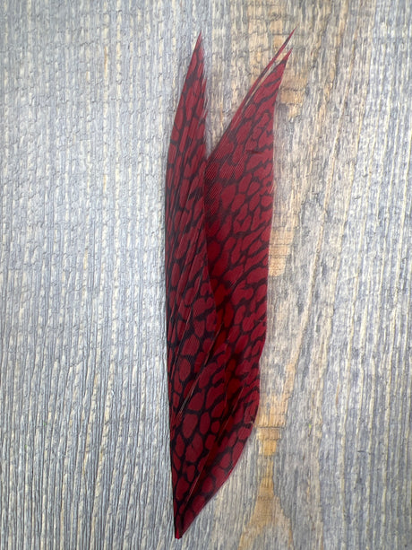 Nature's Sprit Golden Pheasant Center Tail Piece Claret Pheasant Feathers