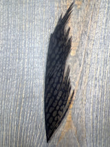 Nature's Sprit Golden Pheasant Center Tail Piece Muskrat Gray Pheasant Feathers