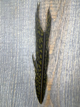 Nature's Sprit Golden Pheasant Center Tail Piece Olive Brown Pheasant Feathers