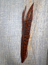 Nature's Sprit Golden Pheasant Center Tail Piece Rusty Orange Pheasant Feathers