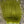 Nayat Hair Olive Hair, Fur
