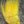 Nayat Hair Tannish Yellow Hair, Fur