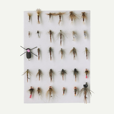 Patagonia Pheasant Tail Simplicity Fly Box Trout Flies