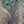 Peacock Eye Sticks Purple Saddle Hackle, Hen Hackle, Asst. Feathers