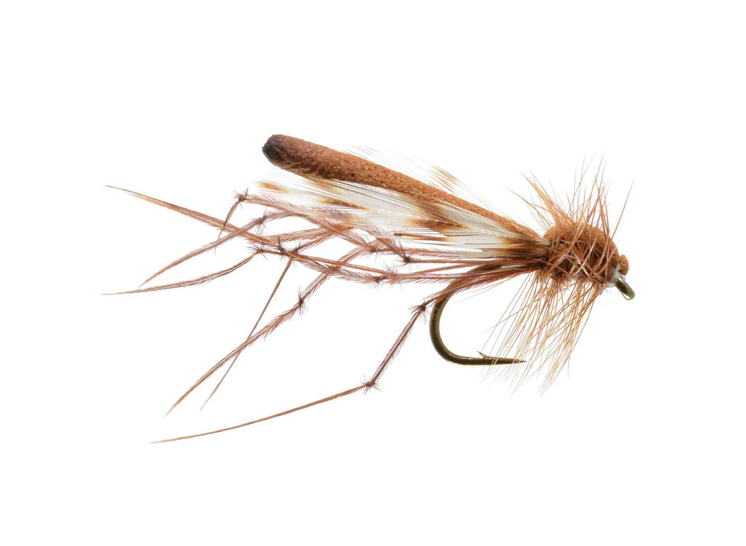 Rainy's Daddy Long Legs Cinnamon / 12 Trout Flies