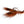 Rainy's Nemo's Baby Craw Cray Orange / 6 Flies