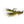 Rainy's Nemo's Baby Craw Olive / 6 Flies