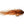 Rainy's Praska Minnow 4 / Crayfish Orange Flies