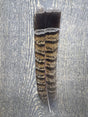 Red Phase Ruffed Grouse Tail Feathers Misc. Feathers