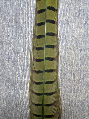Ringneck Pheasant Tail Center Pair Caddis Green Pheasant Feathers