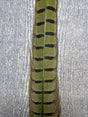 Ringneck Pheasant Tail Center Pair Caddis Green Pheasant Feathers