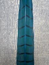 Ringneck Pheasant Tail Center Pair Fl. Blue Pheasant Feathers