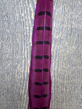 Ringneck Pheasant Tail Center Pair Fuschia Pheasant Feathers