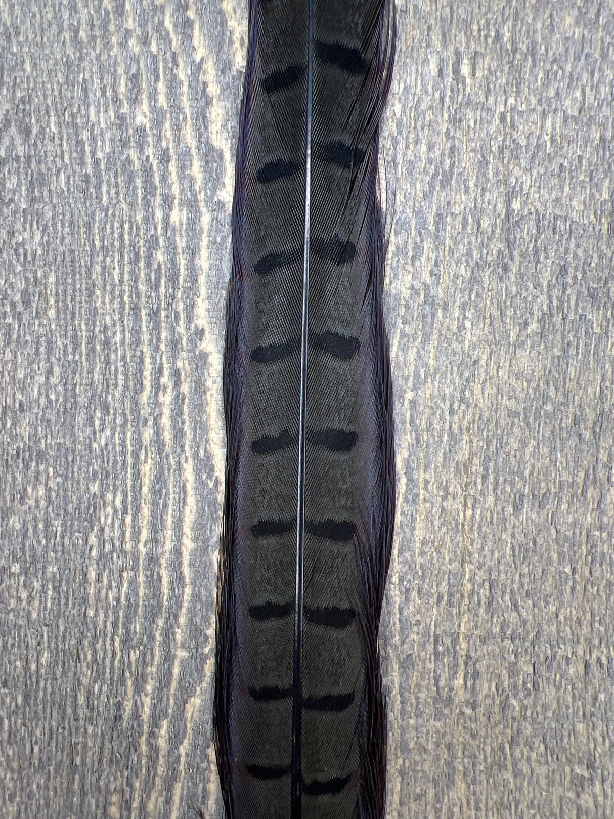 Ringneck Pheasant Tail Center Pair Med Dun Pheasant Feathers