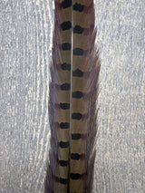 Ringneck Pheasant Tail Center Pair Olive Pheasant Feathers