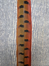 Ringneck Pheasant Tail Center Pair Orange Pheasant Feathers