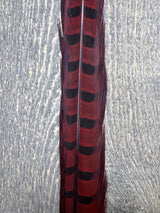 Ringneck Pheasant Tail Center Pair Red Pheasant Feathers