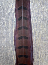 Ringneck Pheasant Tail Center Pair Rusty Brown Pheasant Feathers