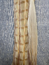Ringneck Pheasant Tail Clump Bleached Ginger